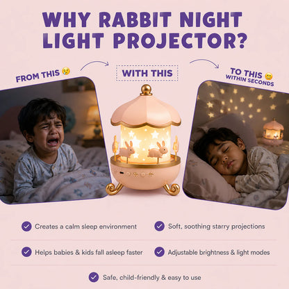 Coozi Dream Bunny Projector